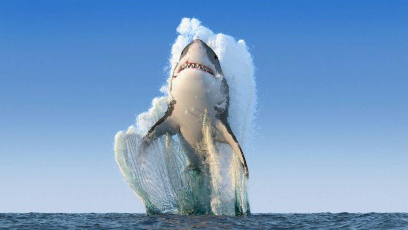 viral fake photo viral fake photo