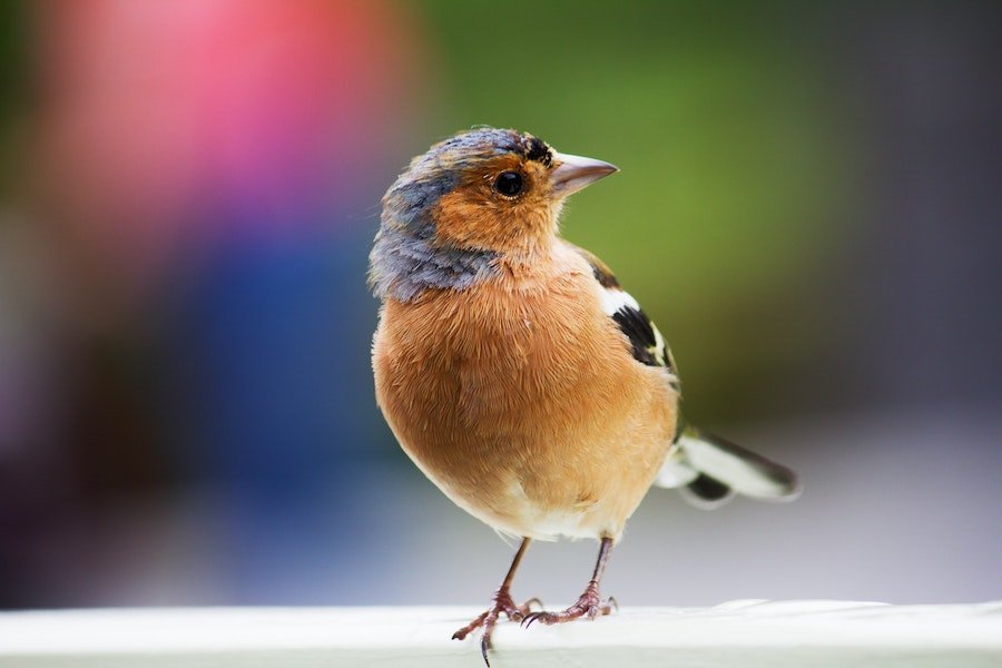 What is aperture? What is aperture?