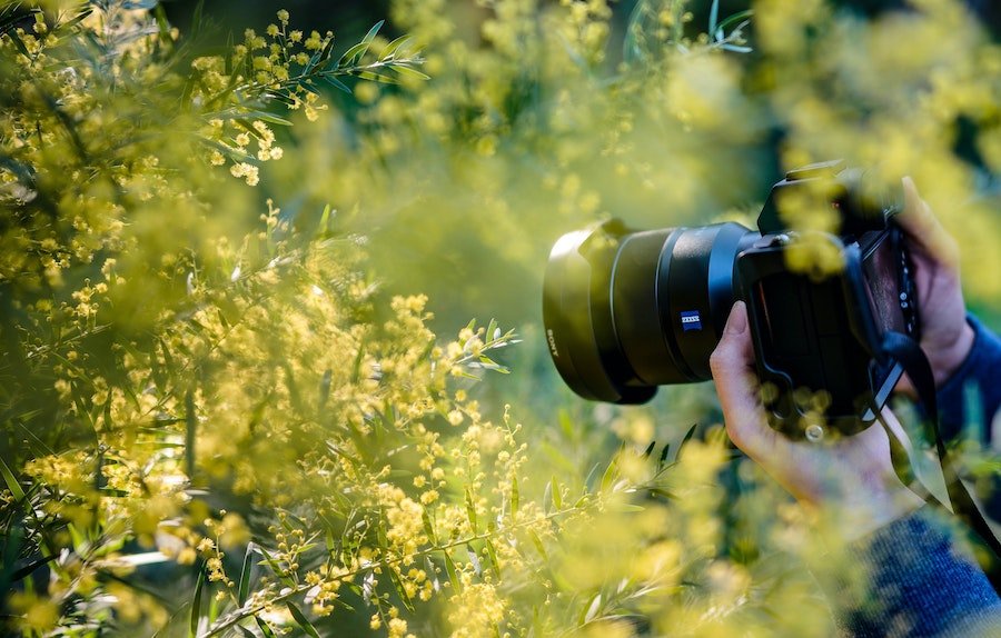How to properly set aperture. How to properly set aperture.