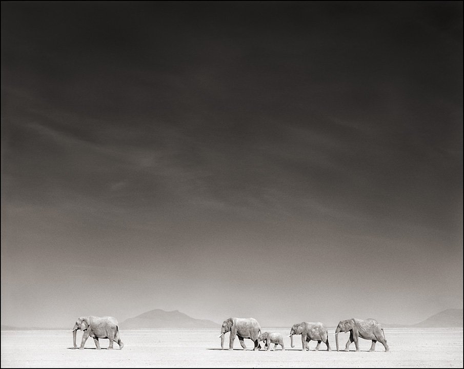 famous wildlife photographer interview famous wildlife photographer interview