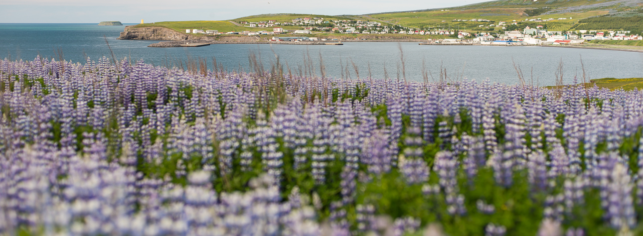 photography course - Depth of field for beginner