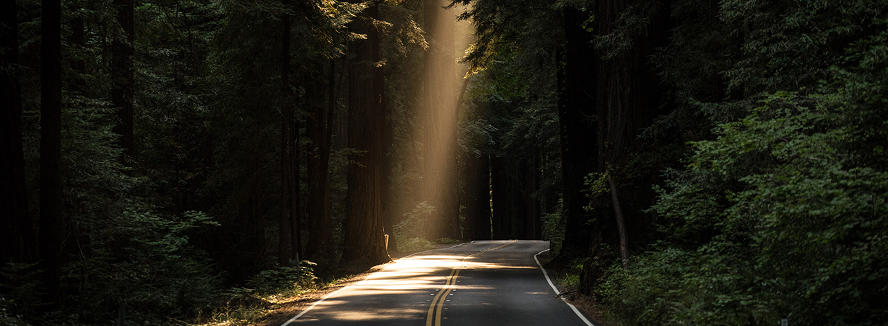 photography course - light for beginner